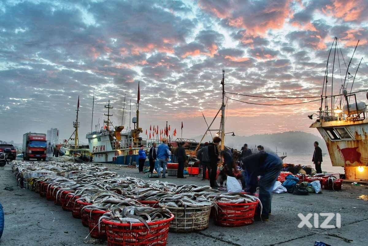 开海了 去哪里买海鲜便宜呢~
