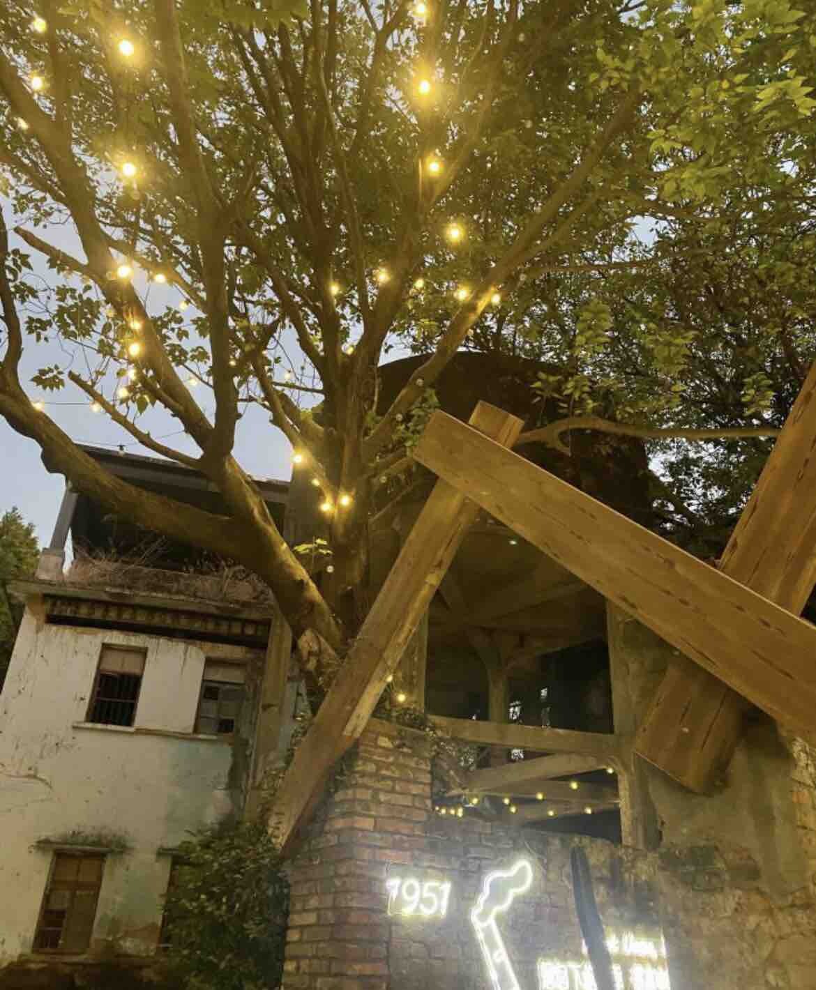 今天是 8月22号星