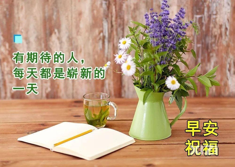 （第14天）心若在，梦就在