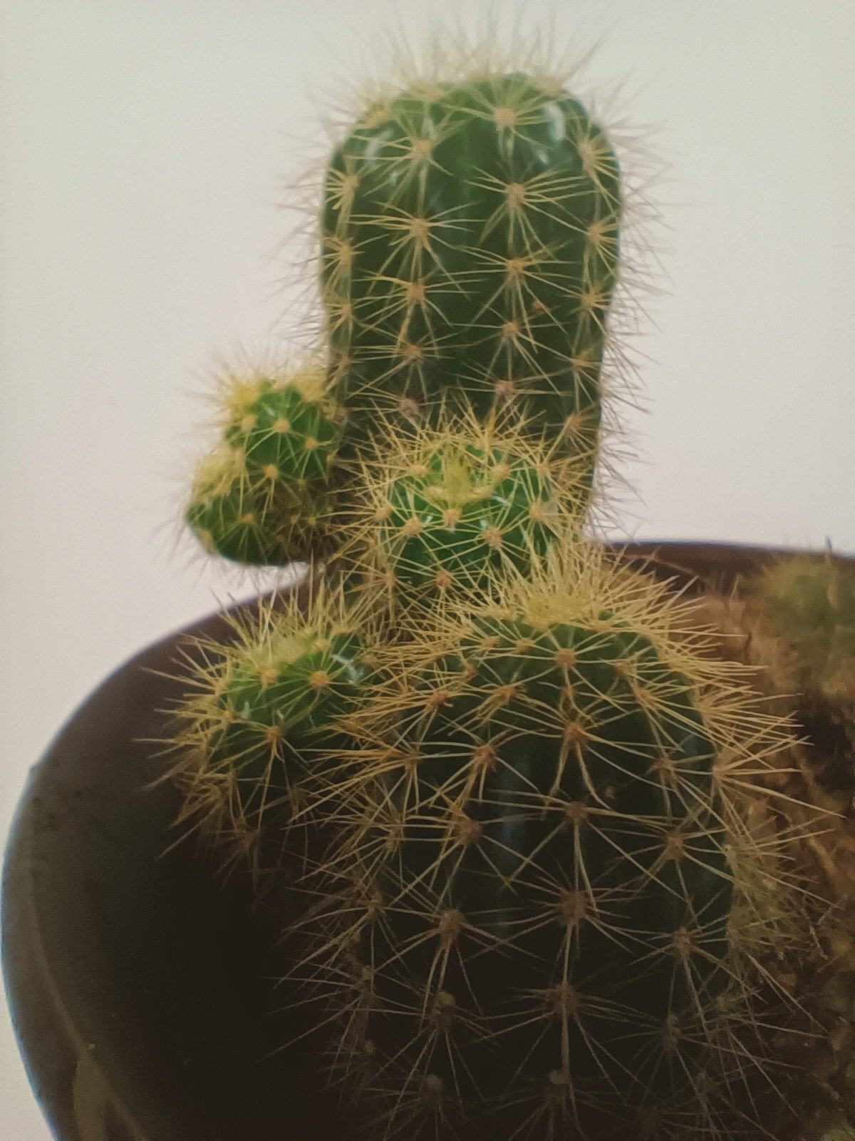 以小见大