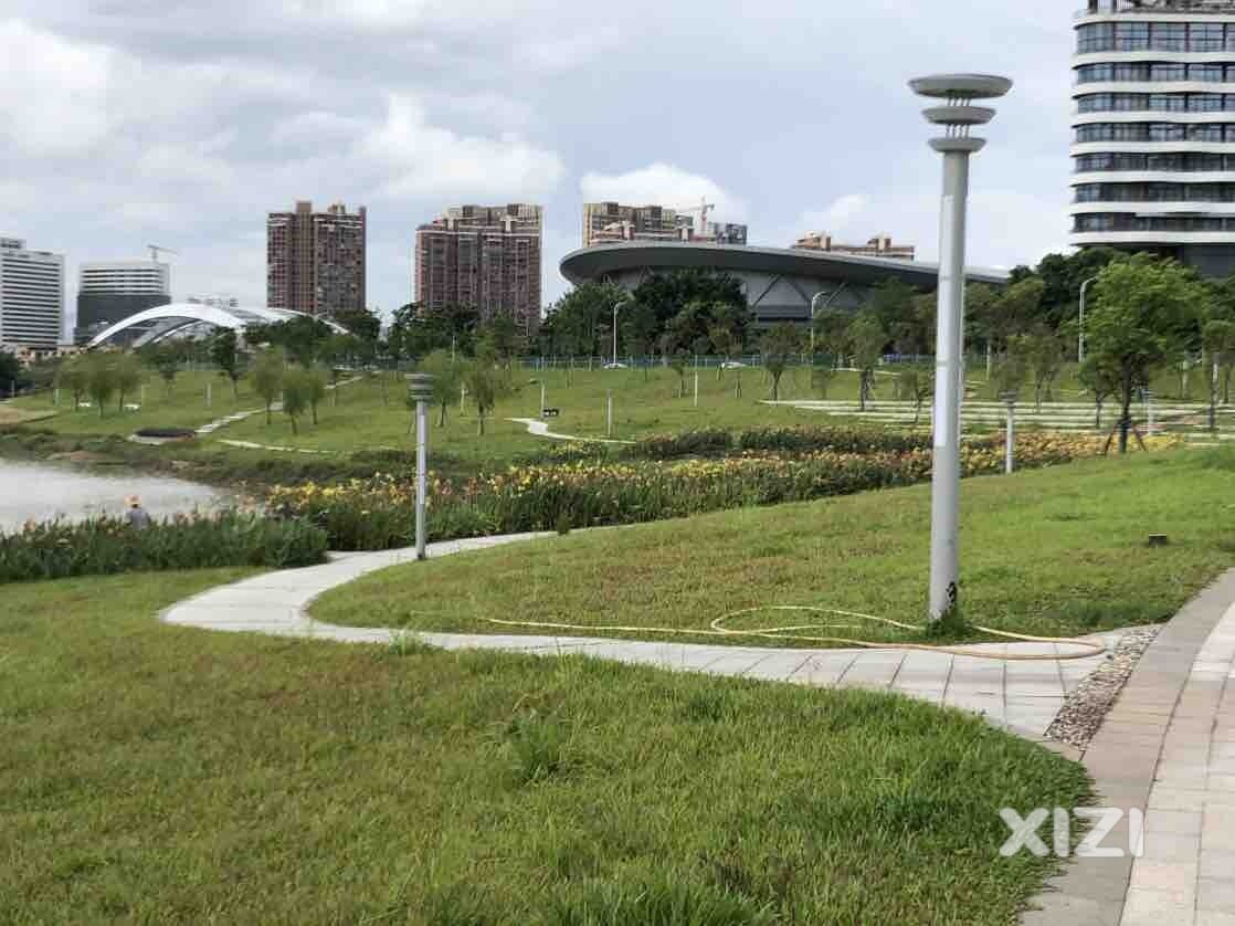 公园漂亮没得说