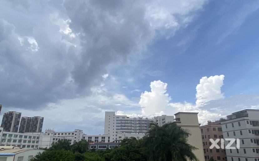 东边日出 西边下雨，道是无情却有情！