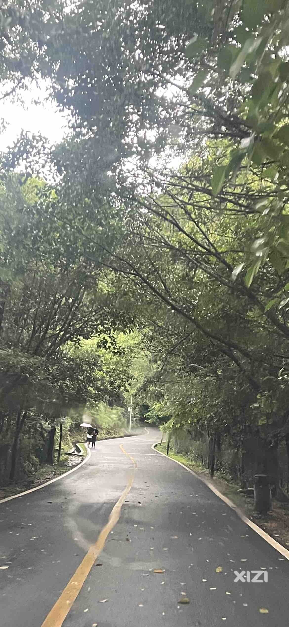 雨后的高榜山