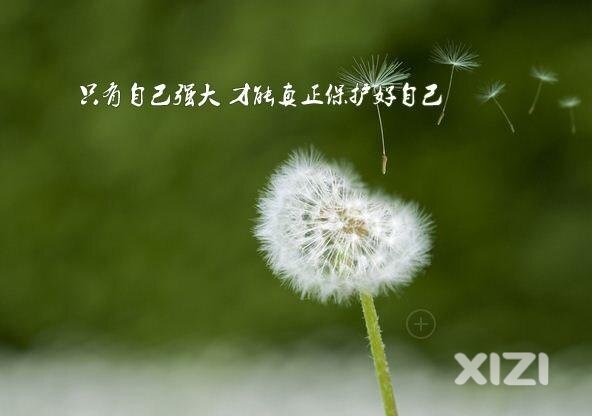 国人还有多少没醒的