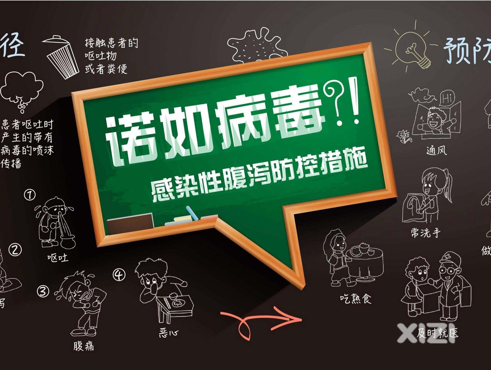 让人上吐下泻的诺如病毒可能迎来爆发期