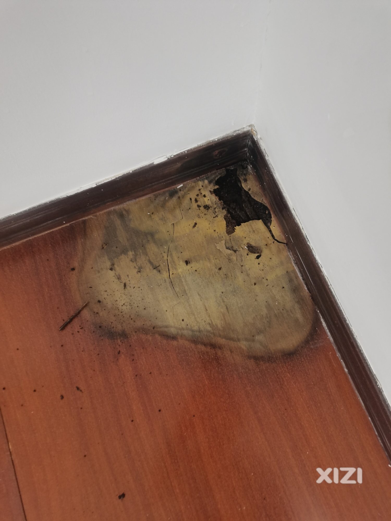 地板被水泡烂了，有会修的吗