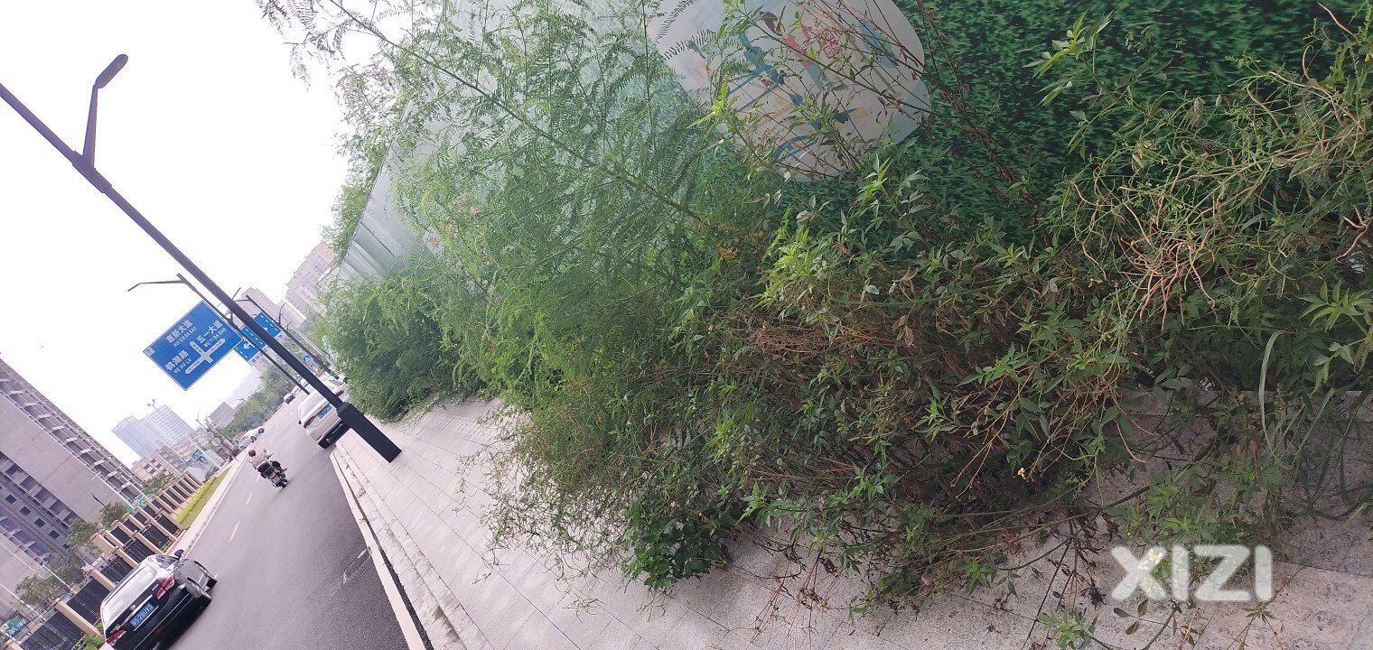 仲恺高新区壹城中心1
