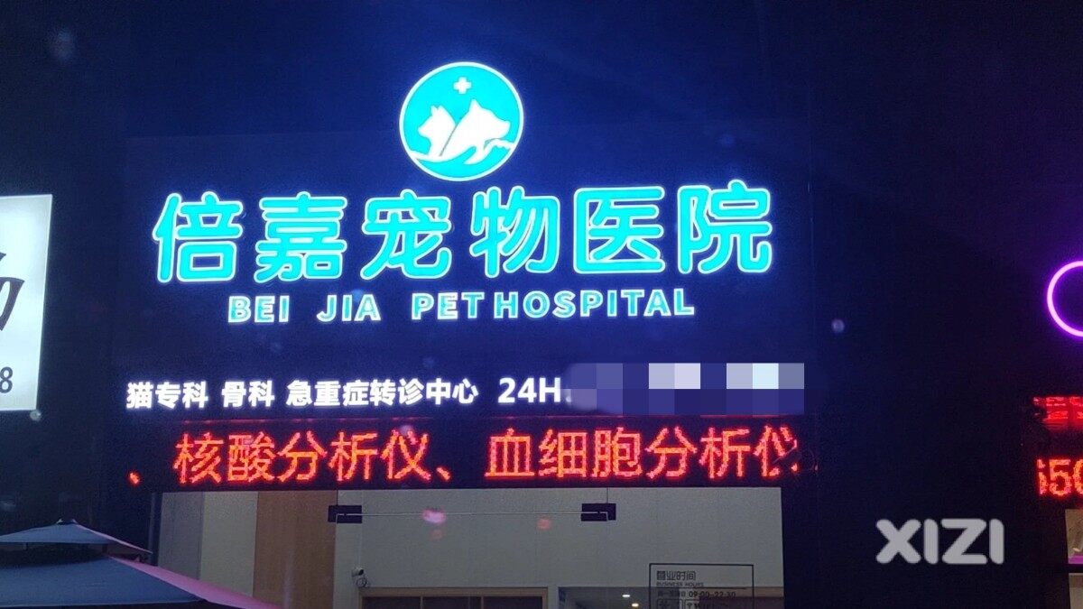 **宠物医院！！！害死我的宝贝