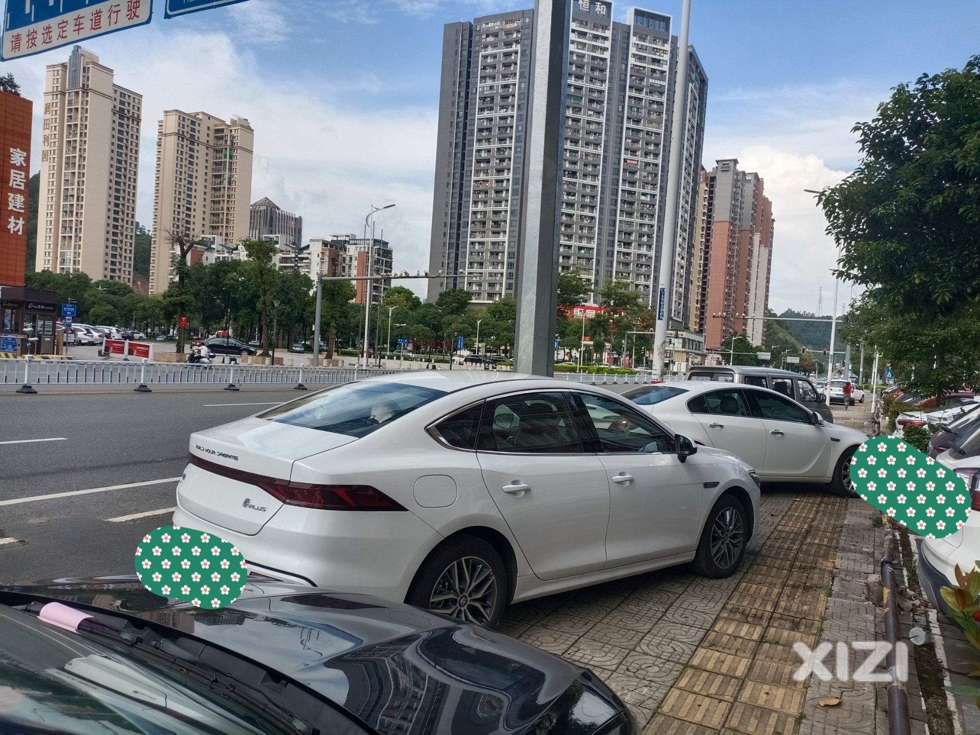 排排坐，吃果果，交警开单，单单200