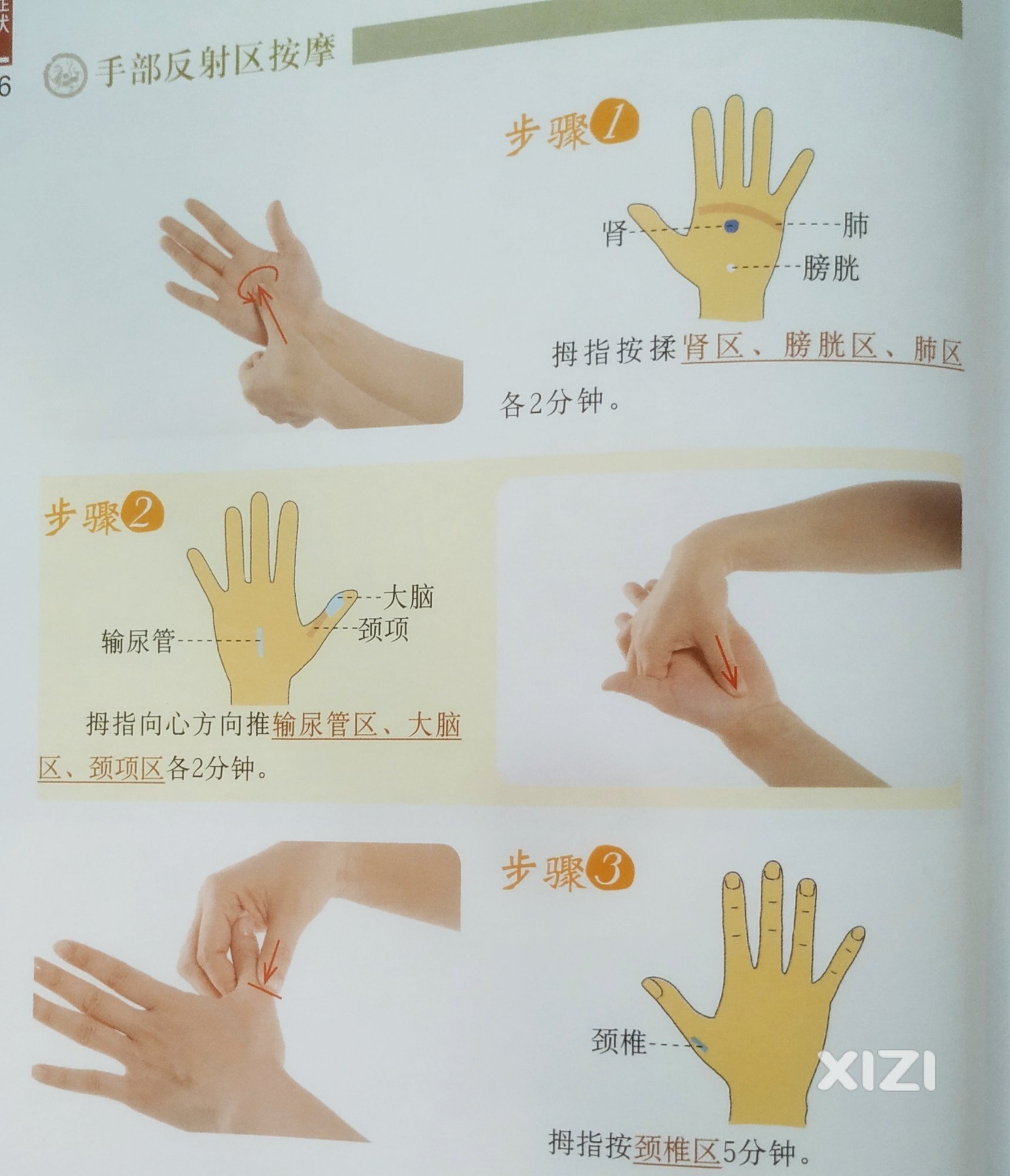 （第22天）落枕自己动手轻松搞定