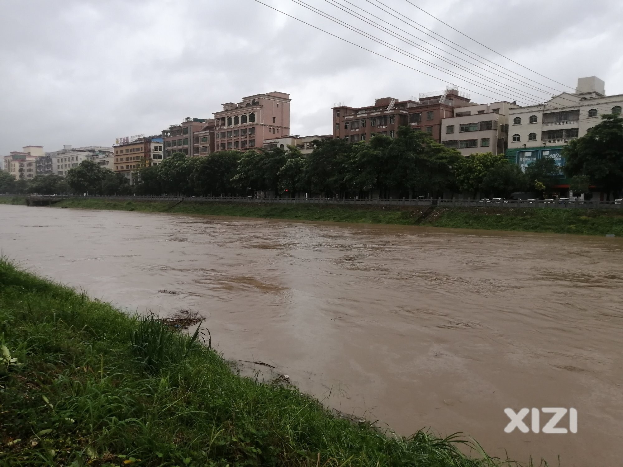 台风过后的河水涨了。