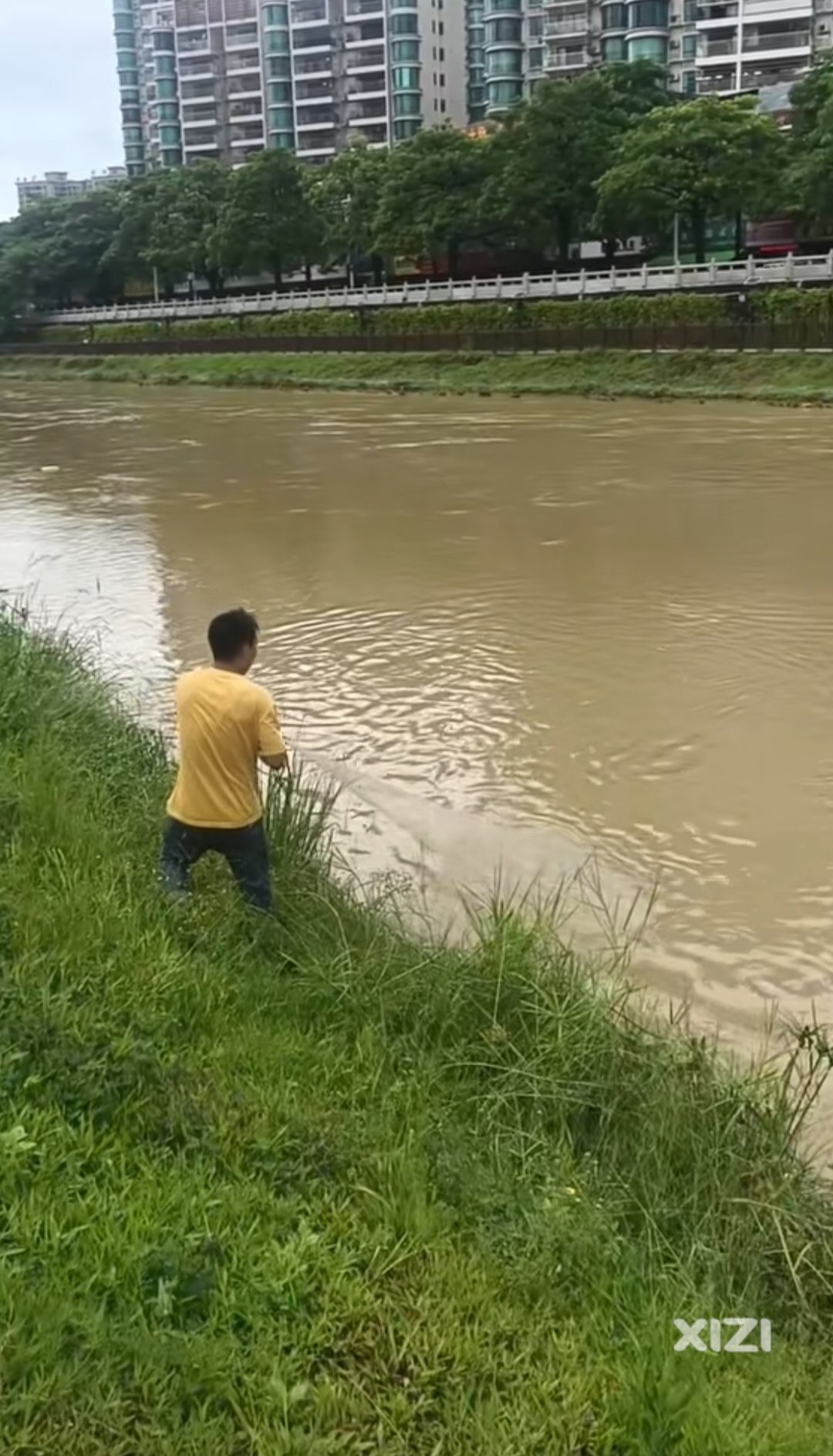 黄排河随便一扔网就一堆鱼。真的可以吃？