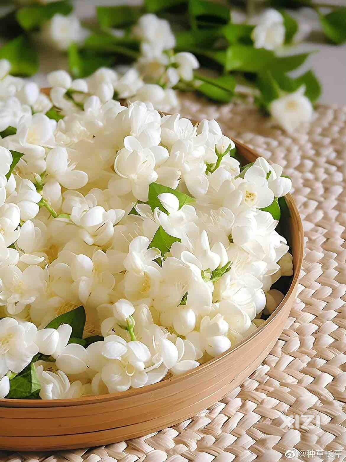 明天开学咯，得早起了