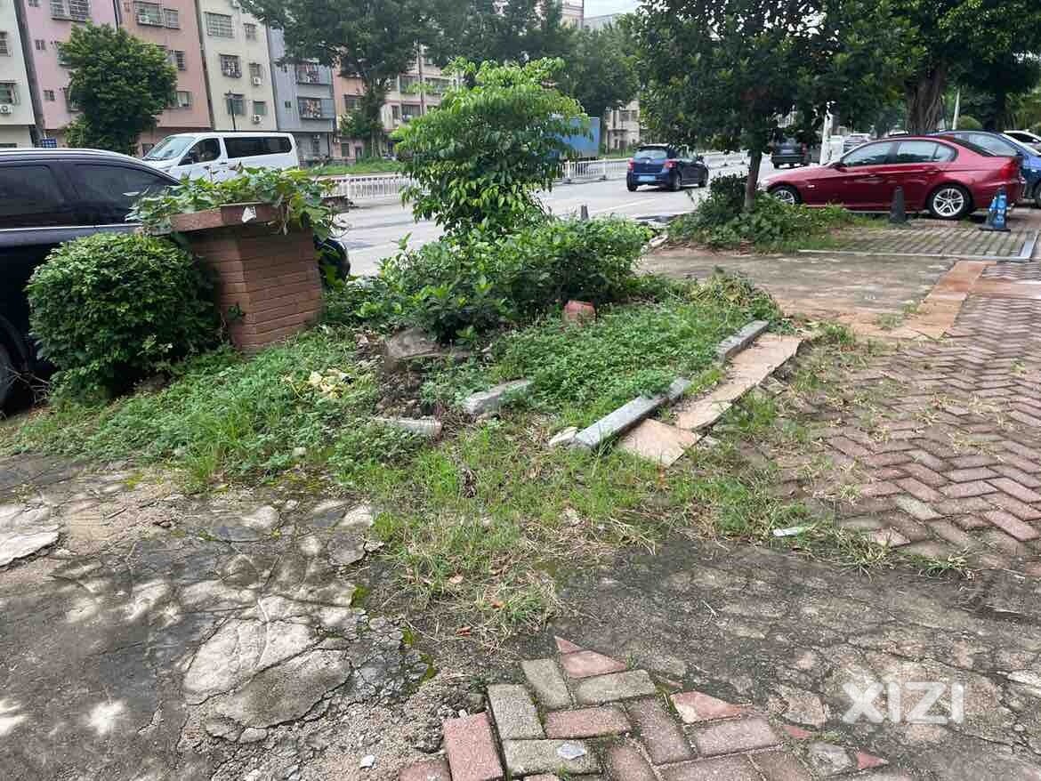 蓝波湾物业管理真好