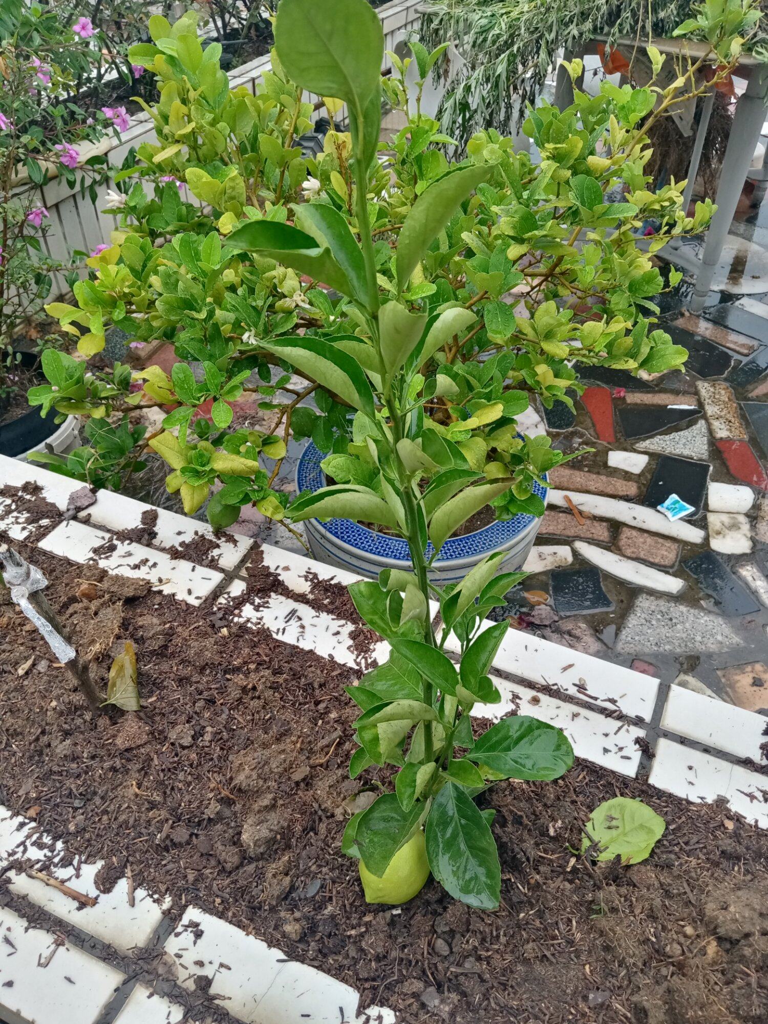 喜欢雨天