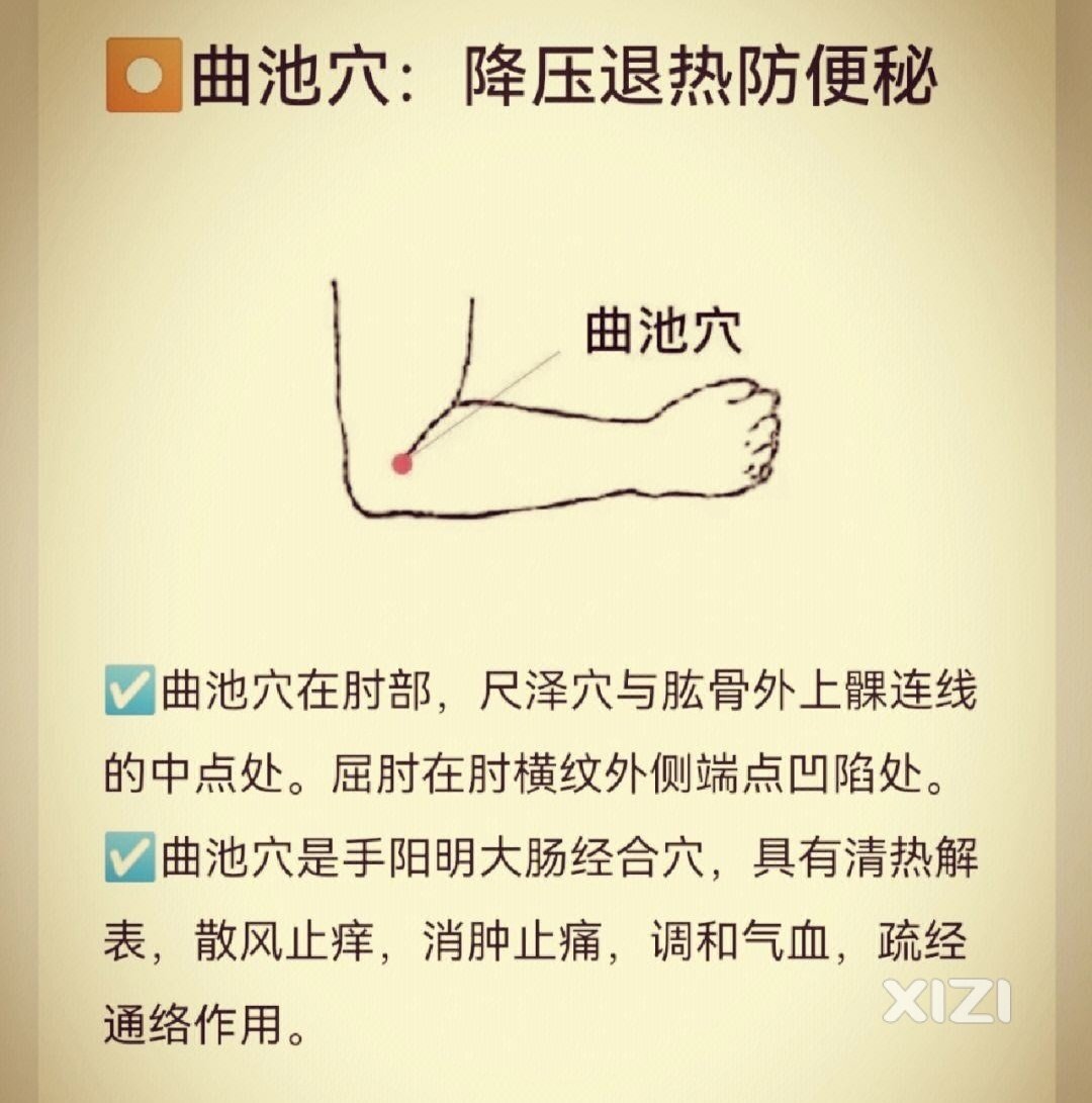 29 痛风 湿热痹阻型 中医外治法分享