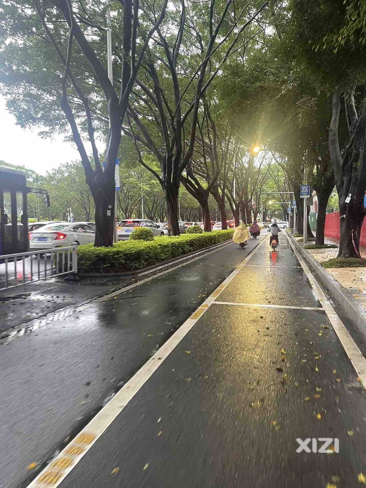 不到八点就堵了