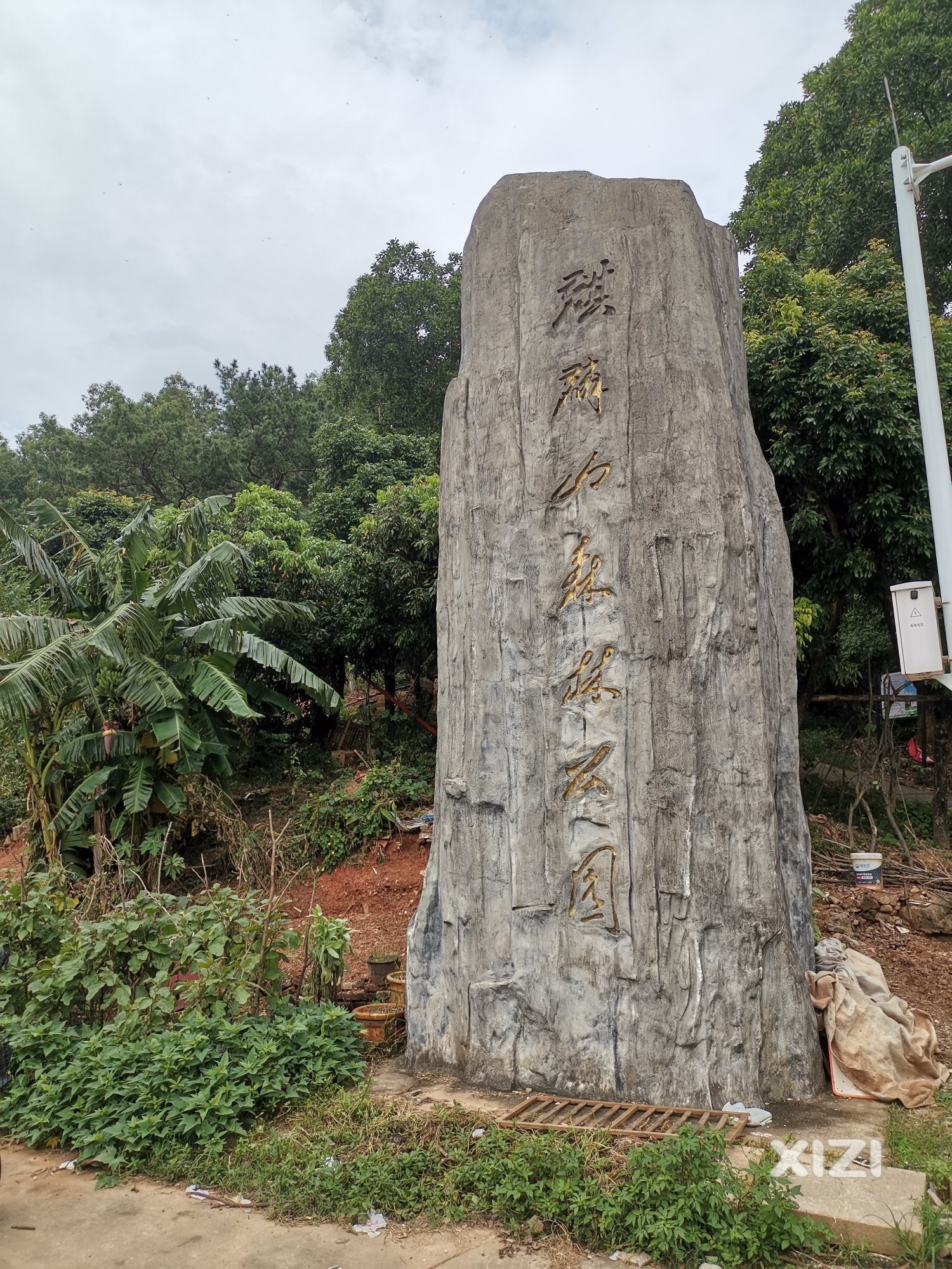 请市民非必要不爬山