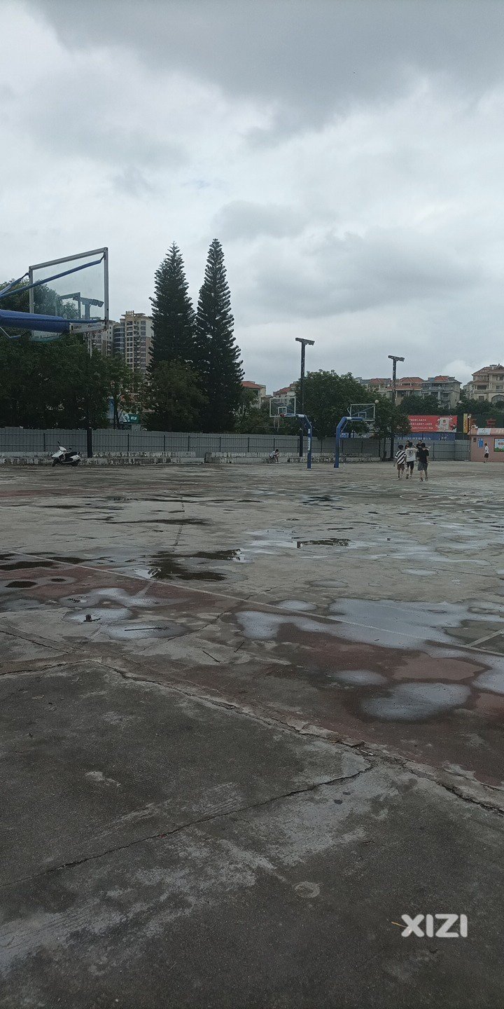 体育馆把篮球场都用铁皮围着？