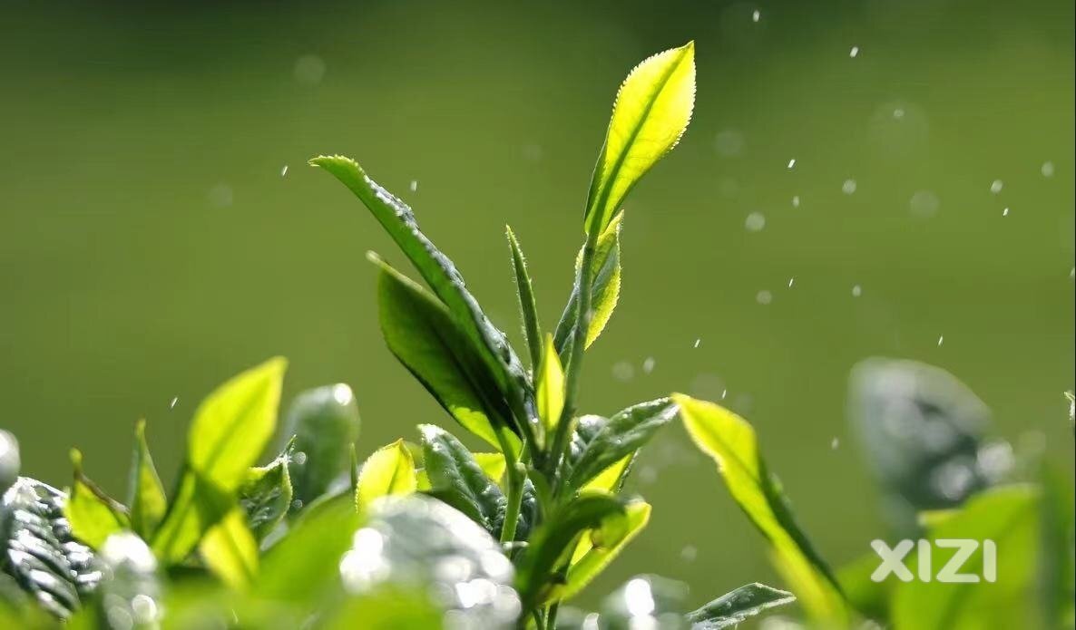 教师节快乐