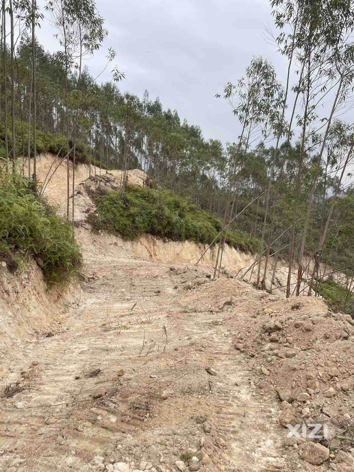 因本人没时间打理，出租山地