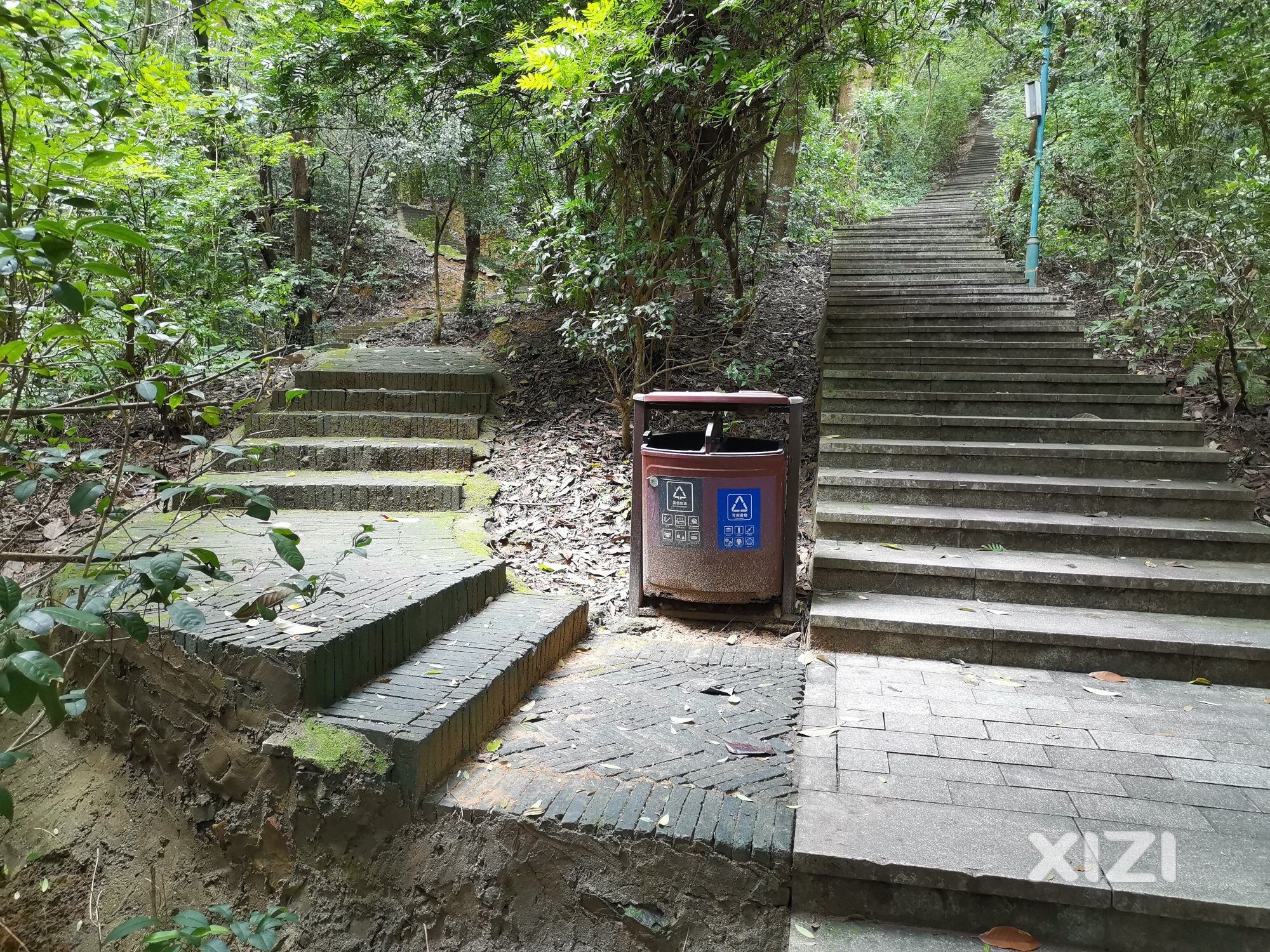 高榜山登山步道有蛇。
