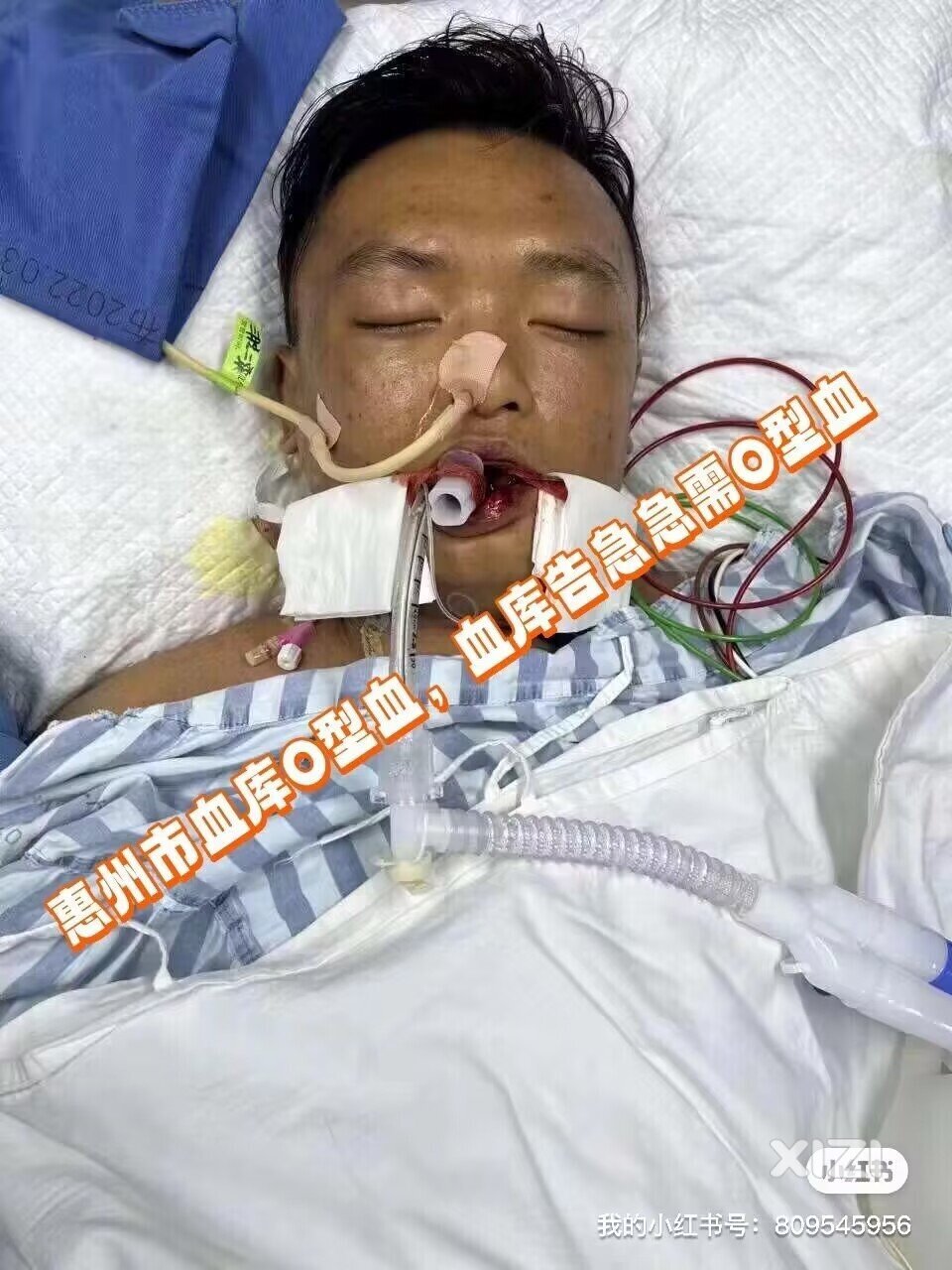 这是一封向社会各界人士求助的信