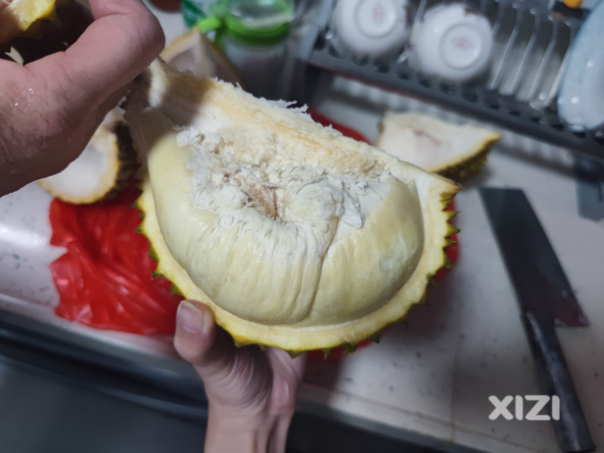 这个榴莲的果型爱了爱