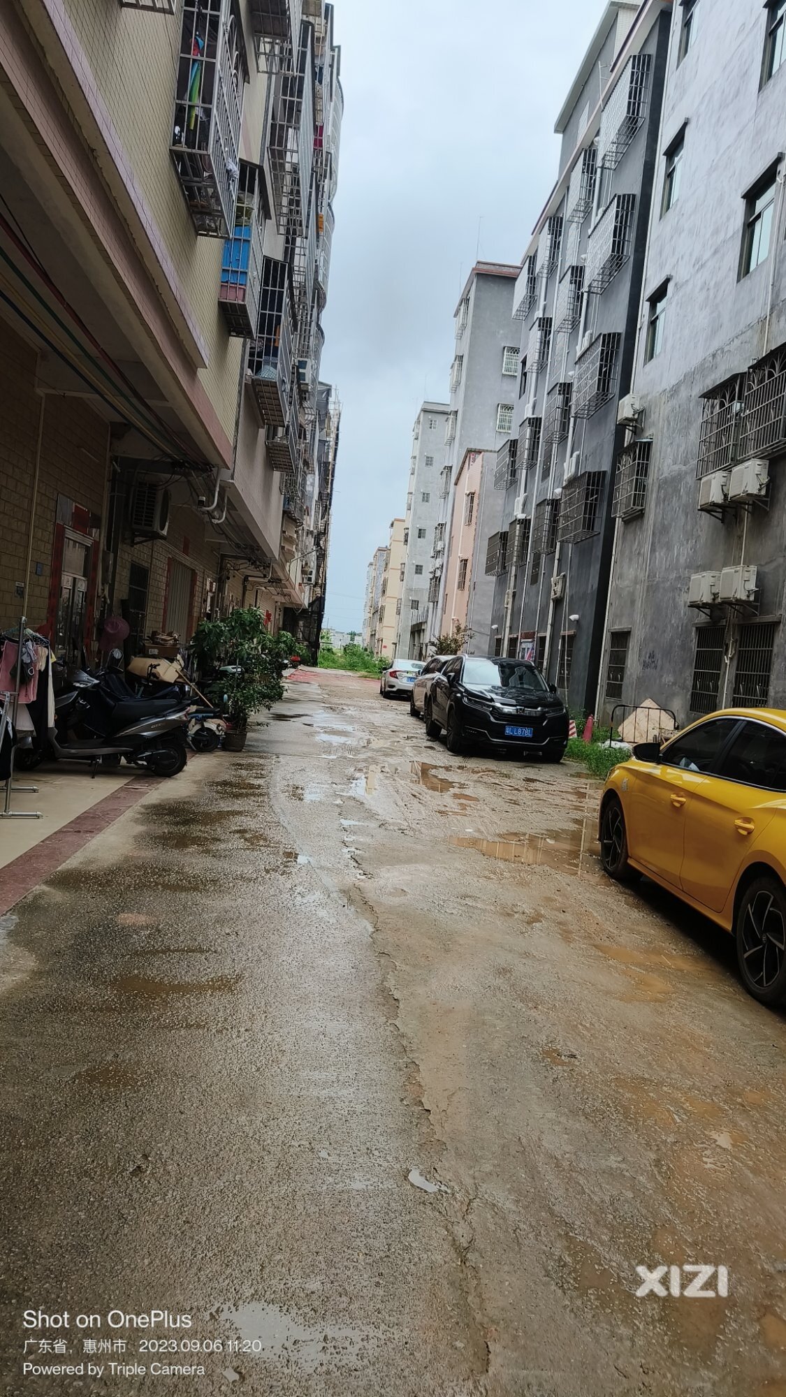 一条新龙烂路