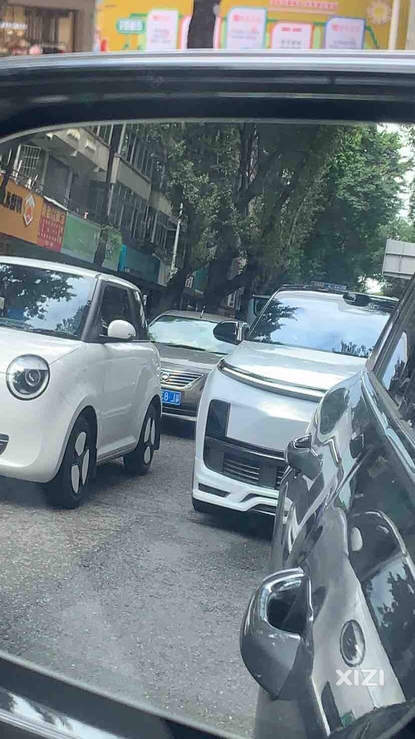 挺霸气啊