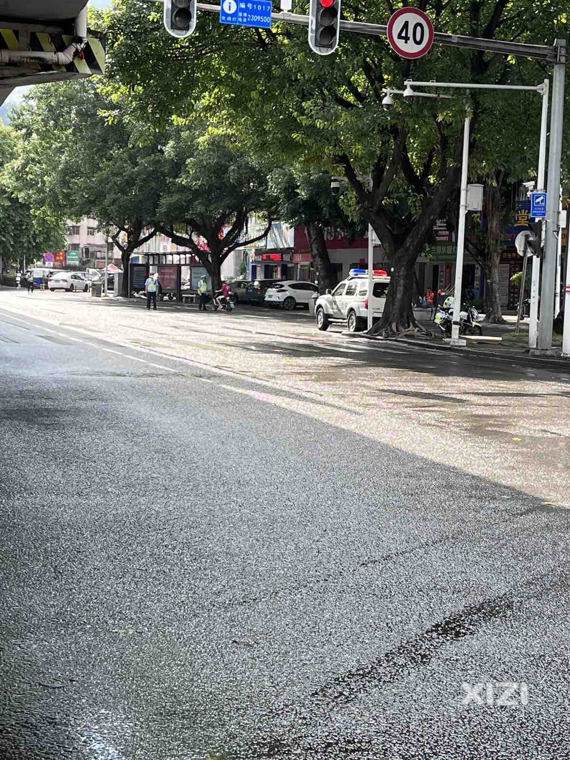 是车就拦下来