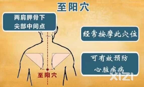 36 突然心好痛 谁来救救我