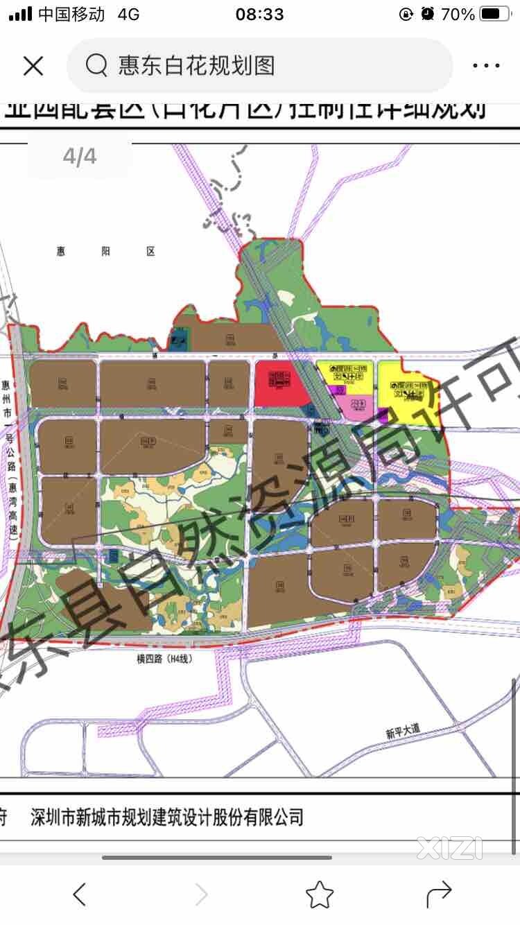 惠州新材料产业园白花