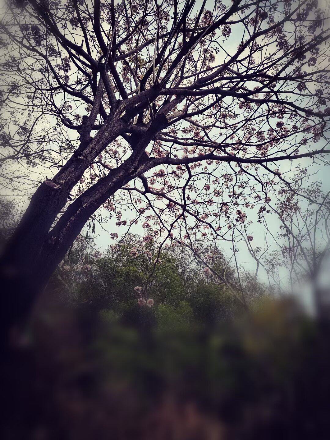 这样的特权你有吗