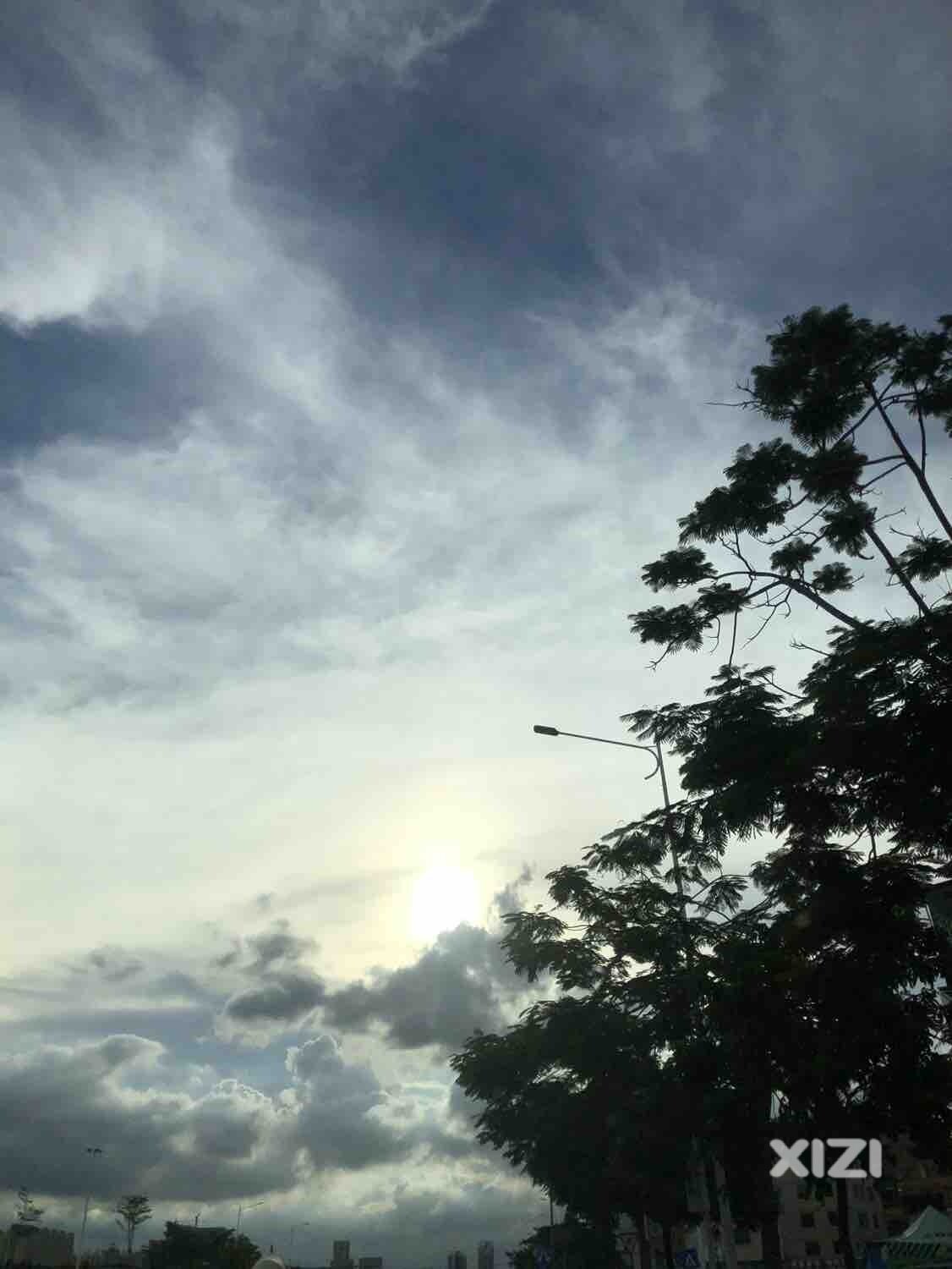 你要允许，让花成花，