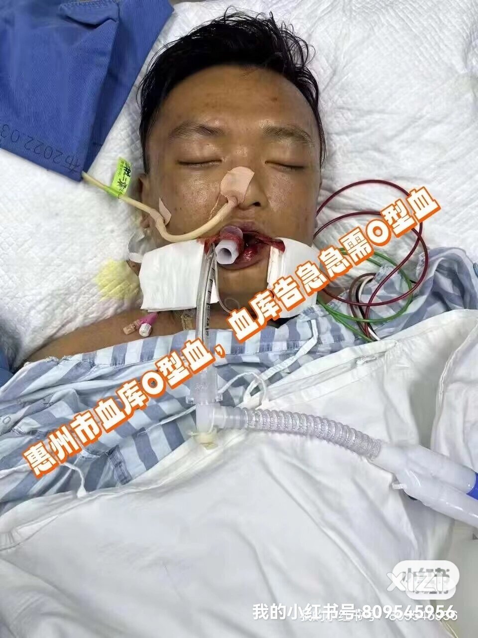 大家好这是一封向社会各界人士的求助信