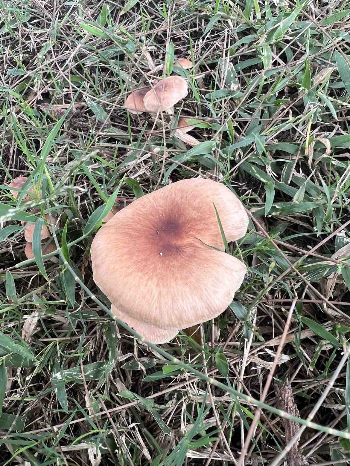 雨天～海边