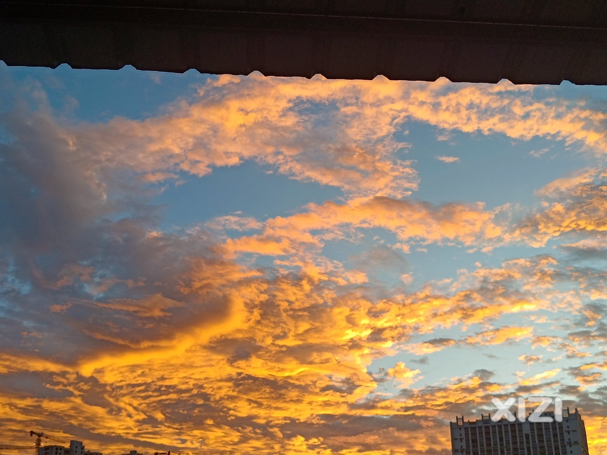 夕阳无限好，只是近黄