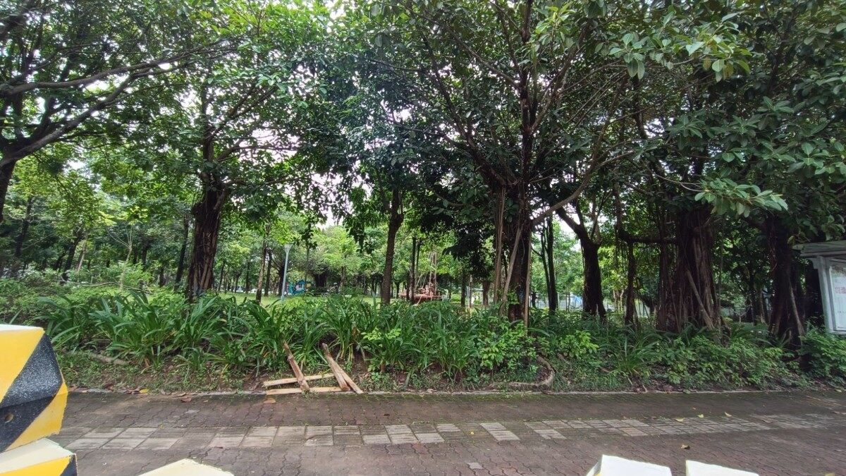 大亚湾图书馆项目貌似开拔动工了（现场实拍照片）