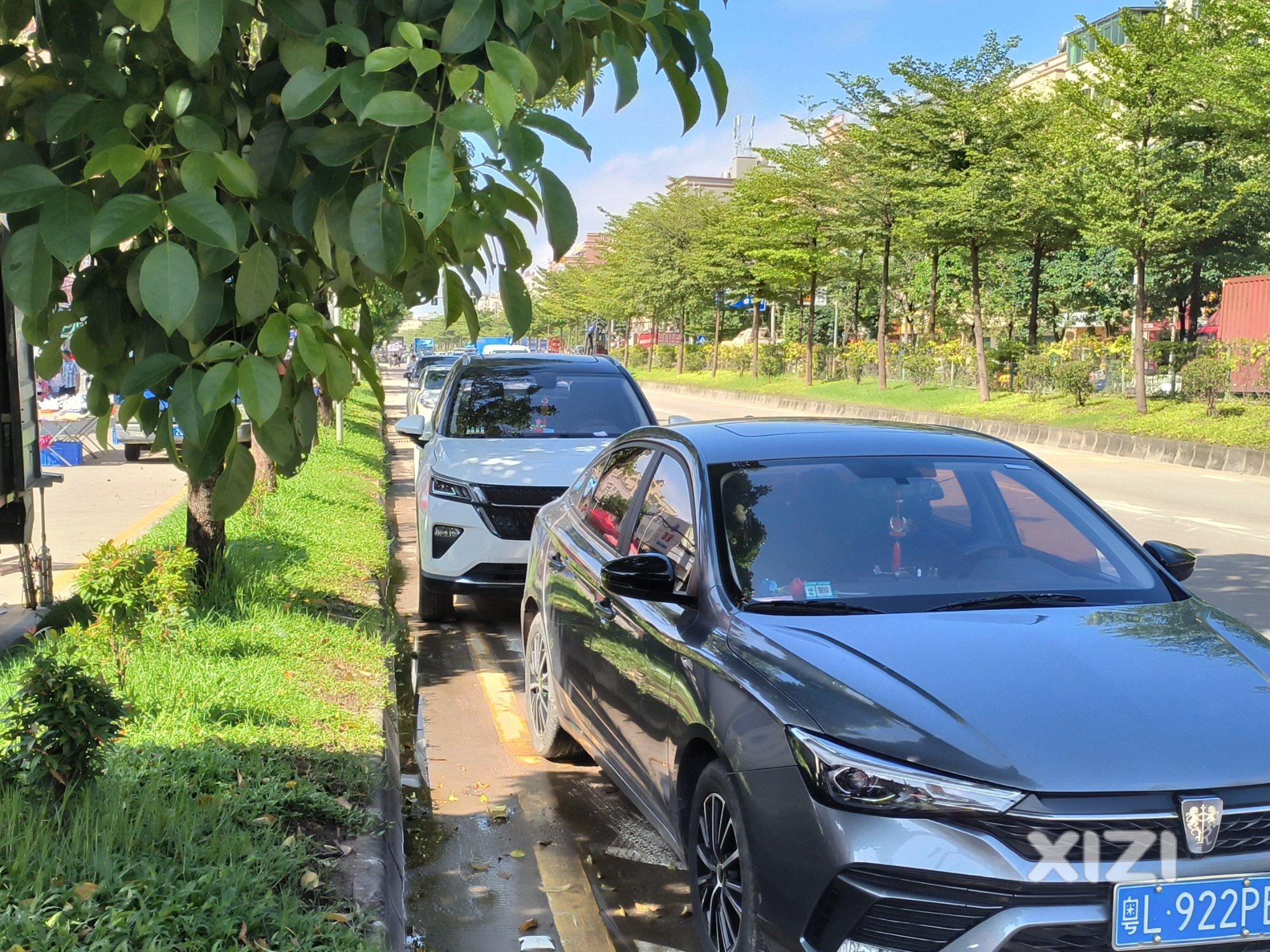 惠阳新塘，这些车...