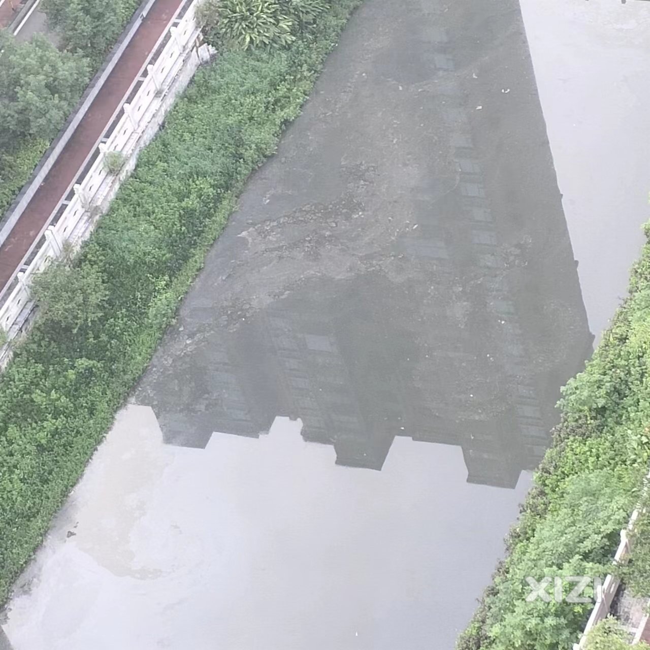 望江沥污染严重