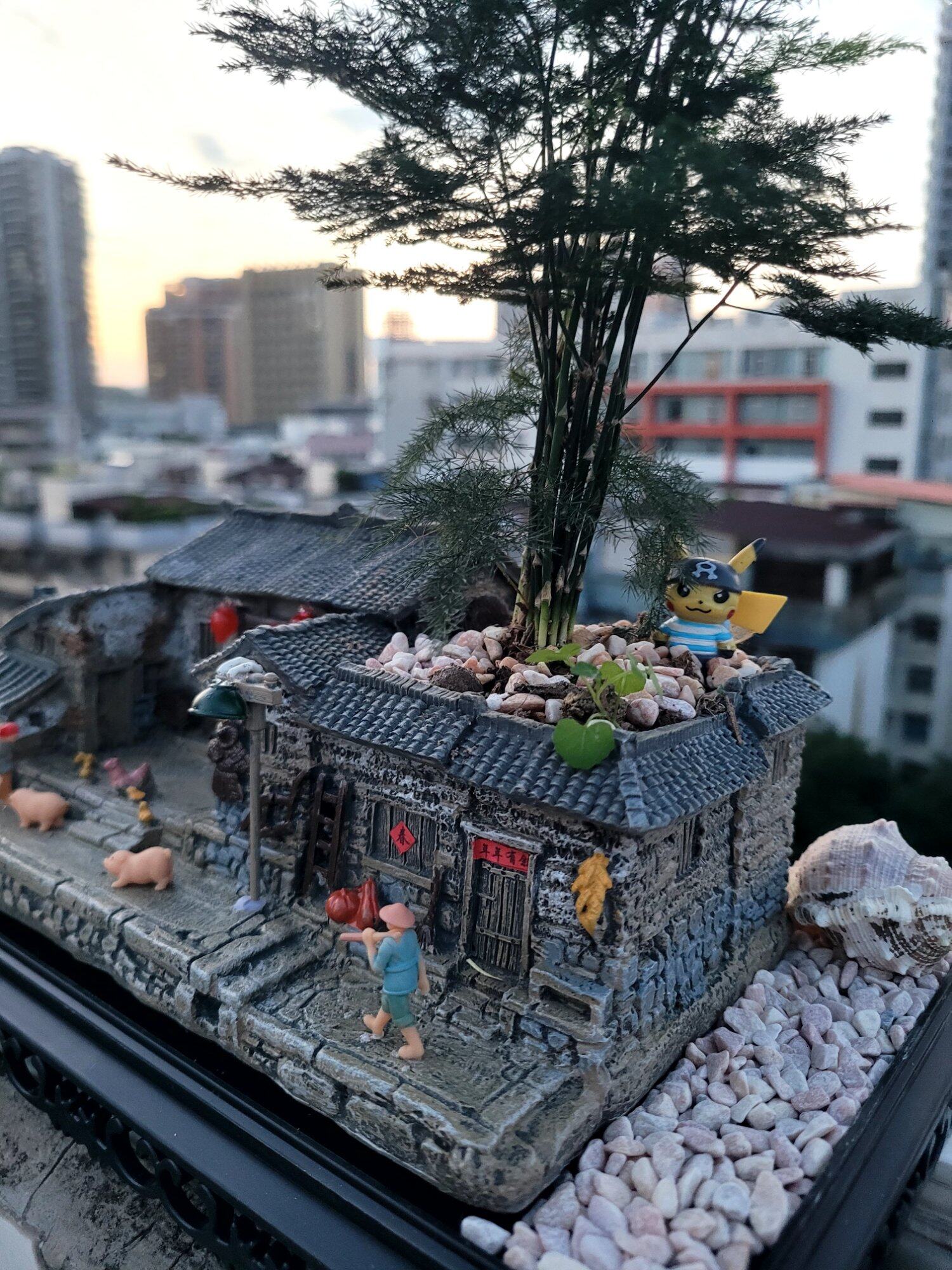 农家小院