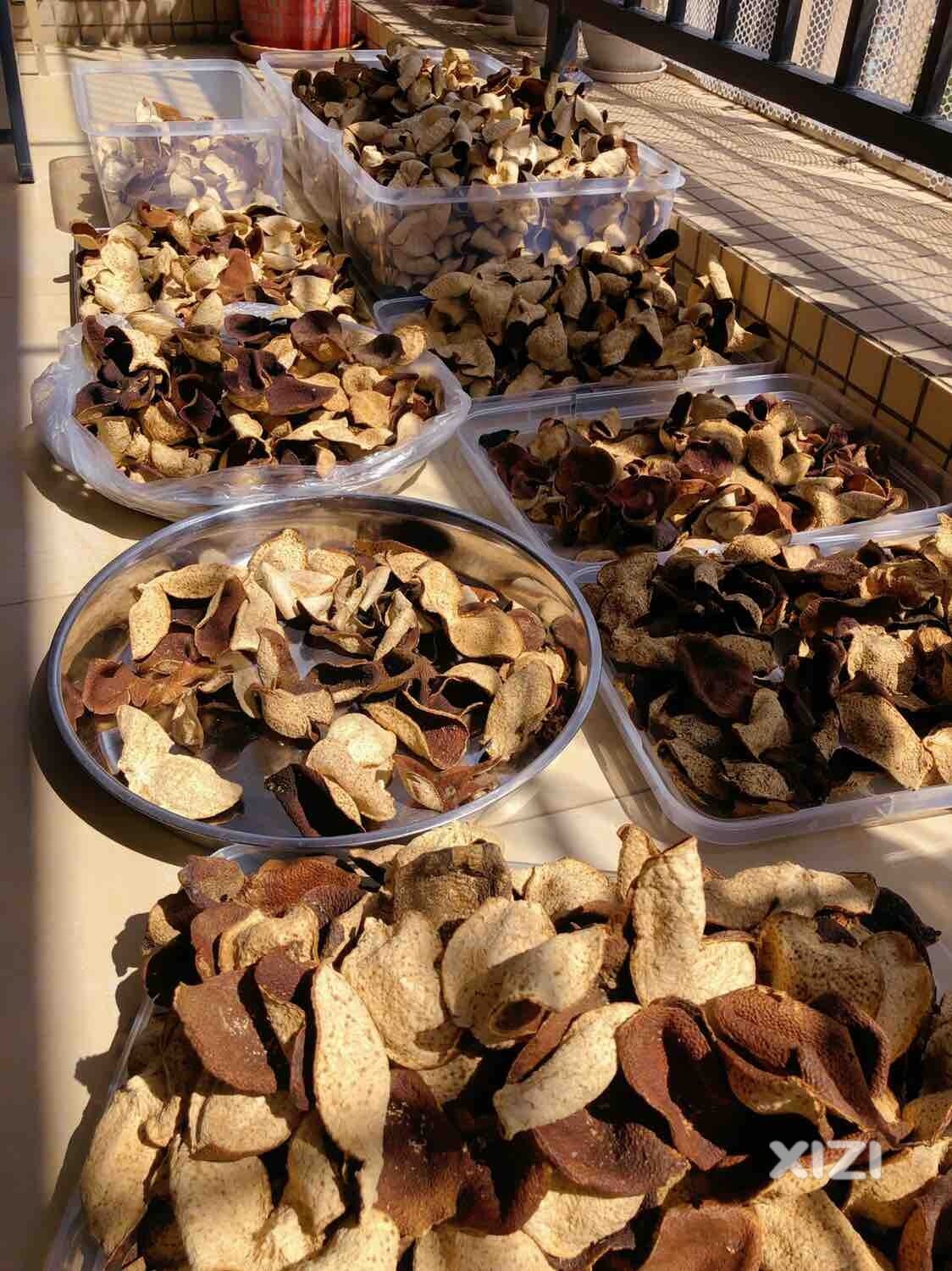 我是勤劳的小蜜蜂