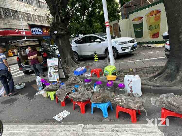 路过～