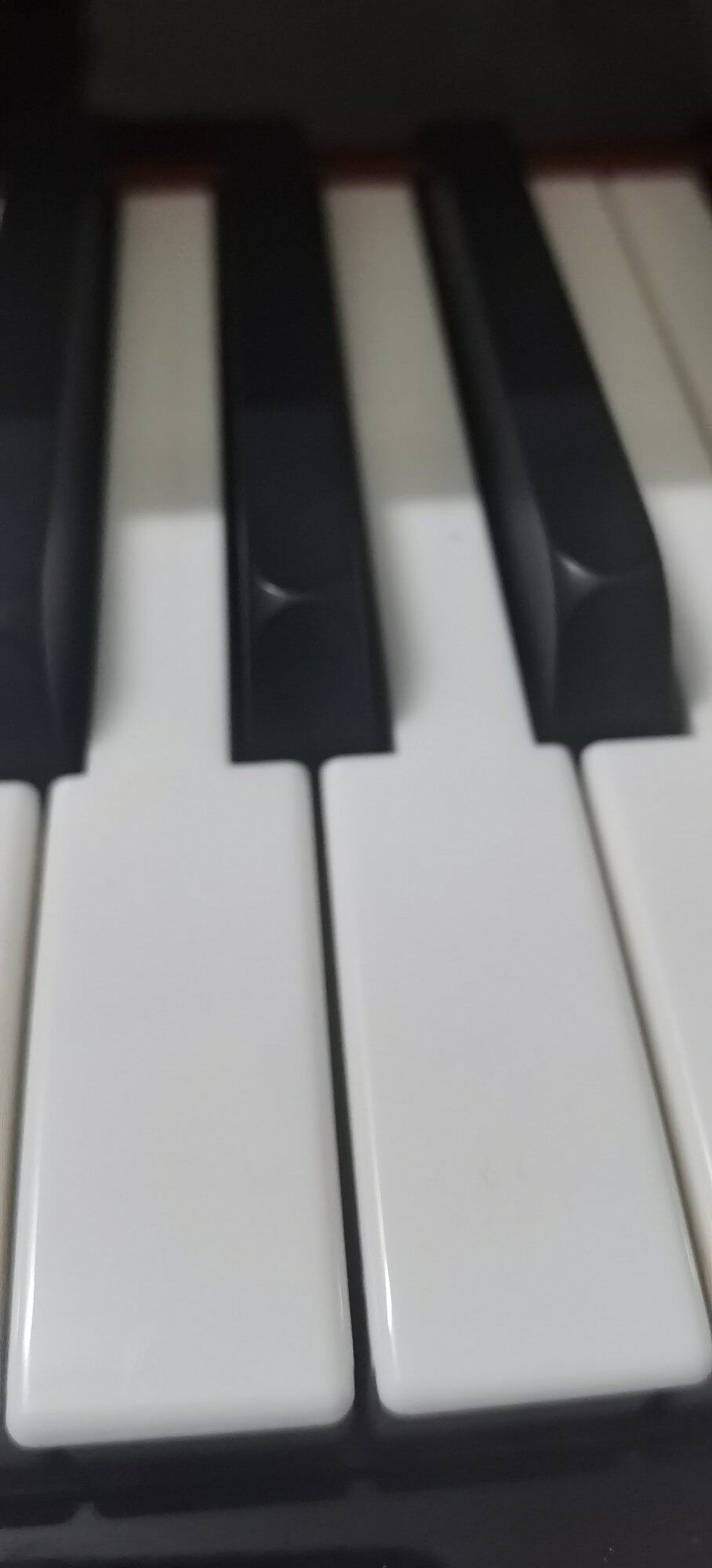 有知音吗？