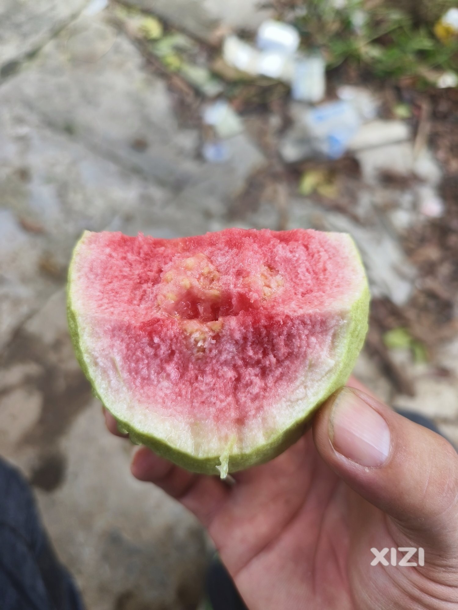 有果