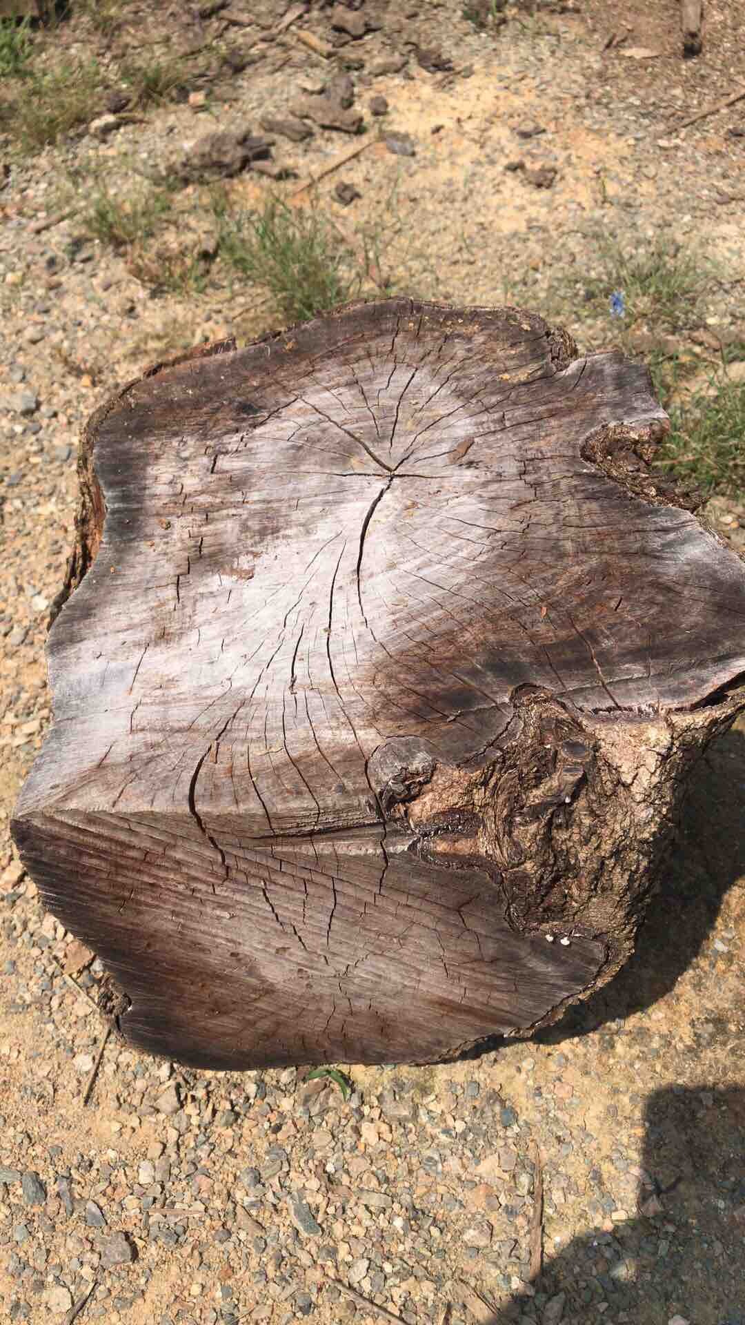 你有什么喜爱？