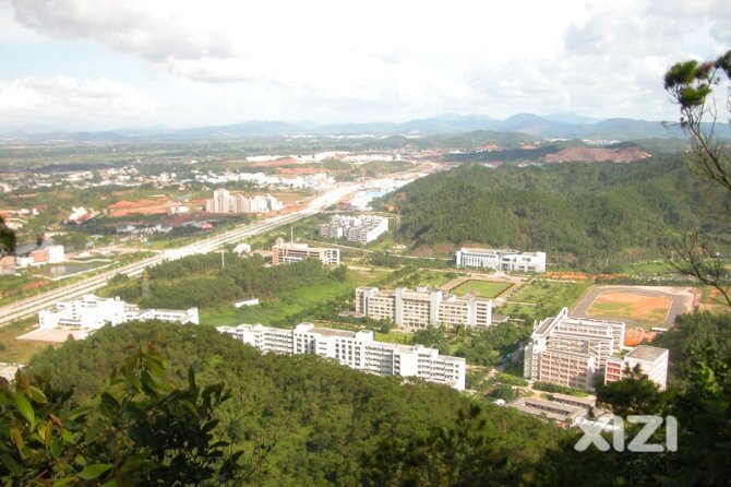 光阴似箭、岁月如梭