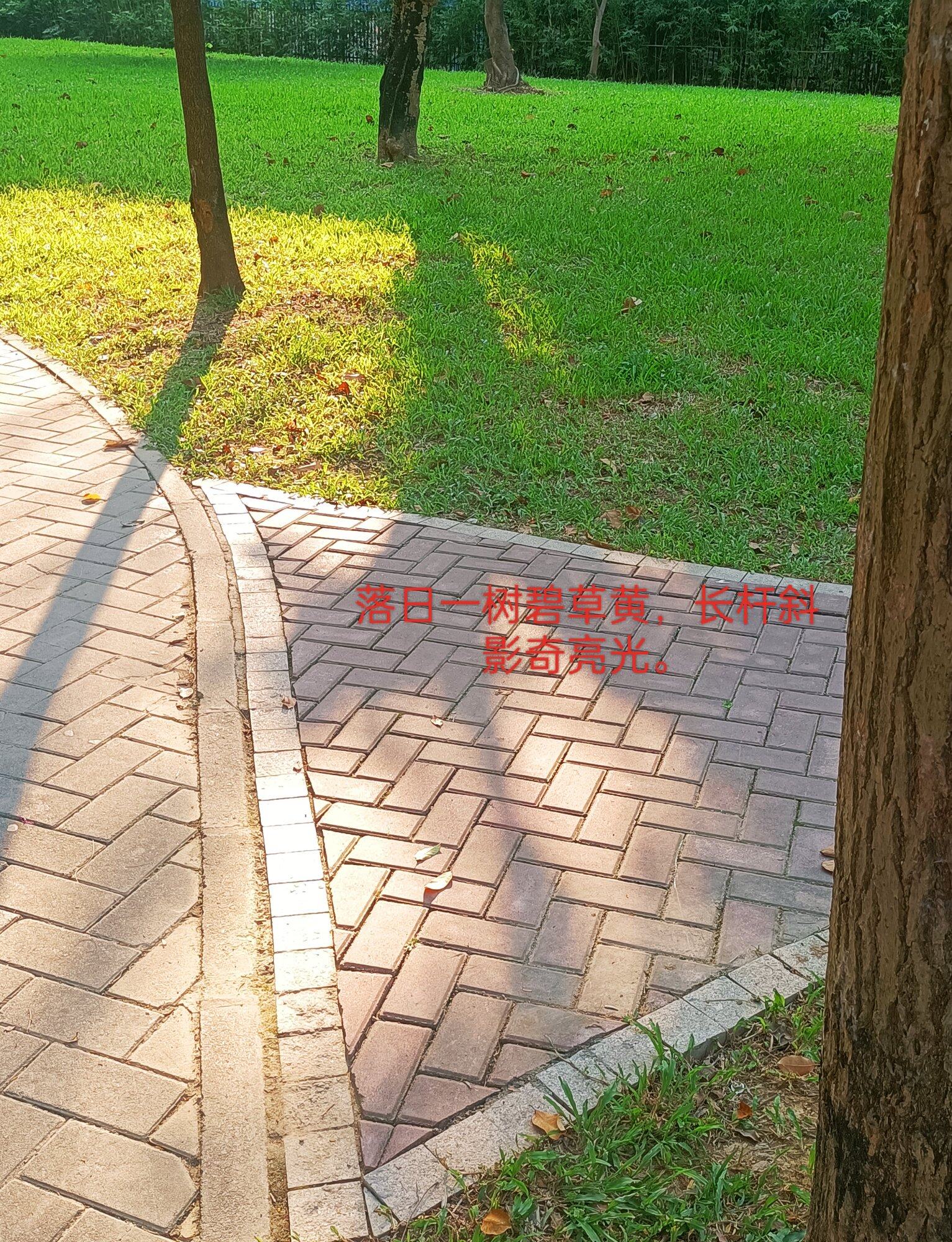 行园小憩