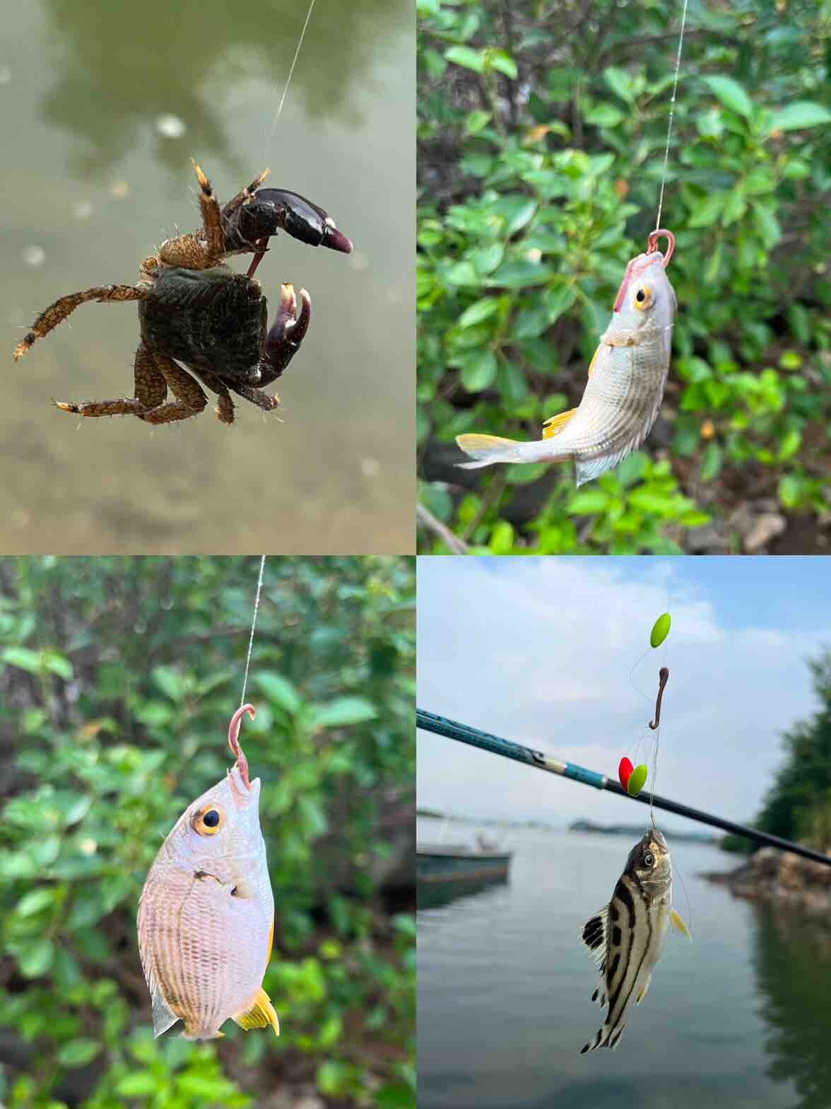 秋高气爽适合出游